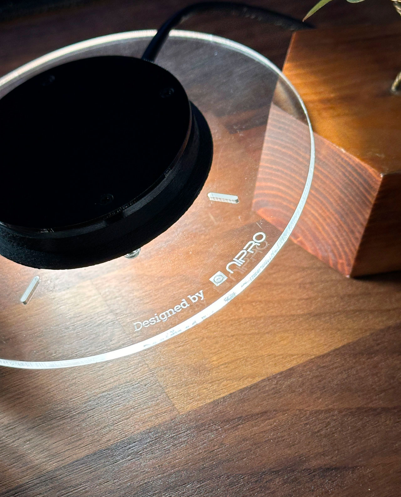 Foco Led para Terrario | Lámpara para Jardín Eterno o Jarrón de cristal redondo