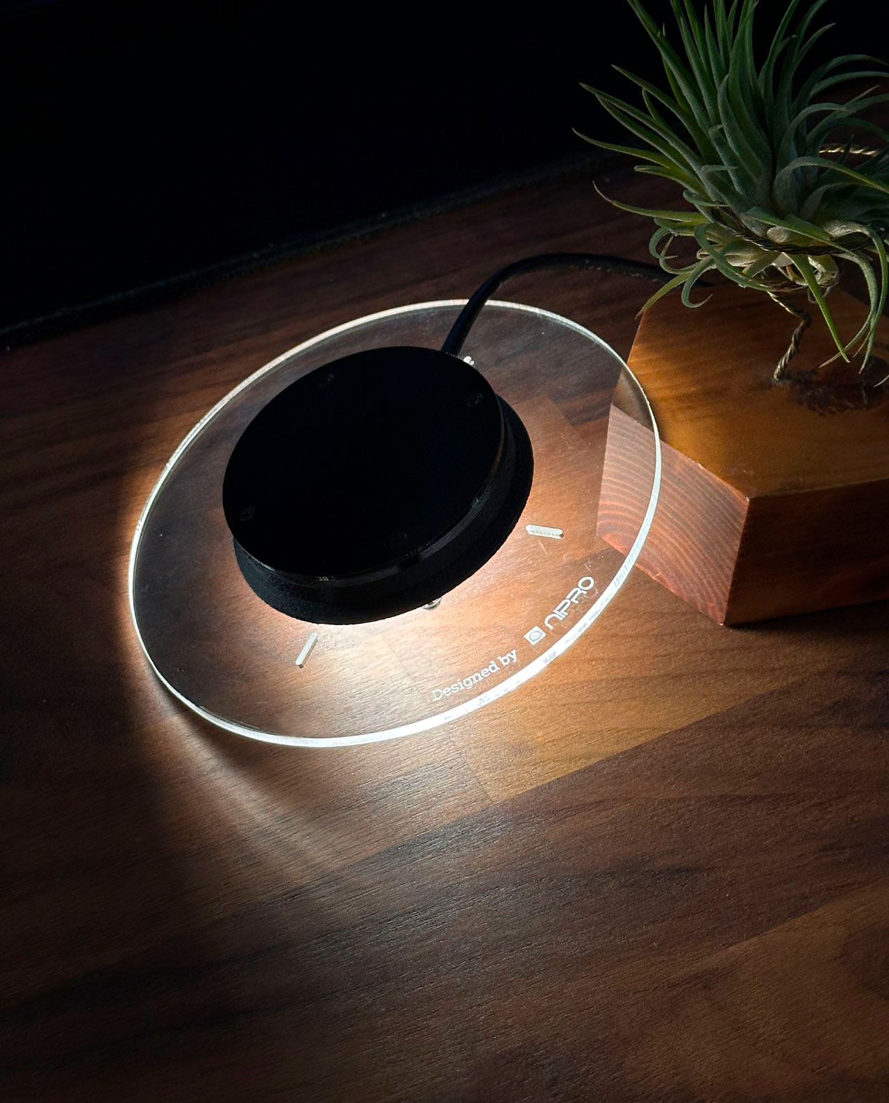 Foco Led para Terrario | Lámpara para Jardín Eterno o Jarrón de cristal redondo